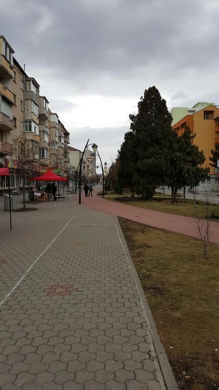 Апартаменти La Garson Алба-Юлія Екстер'єр фото
